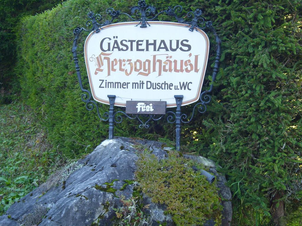 Pension Herzoghaeusel Bischofswiesen Bagian luar foto